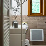 Wellness Drevenica Tale S Biliardom *