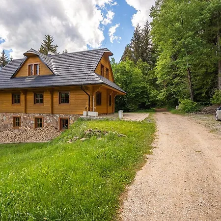 Wellness Drevenica Tale - Chopok Jasna South - Pool Table Chalet *