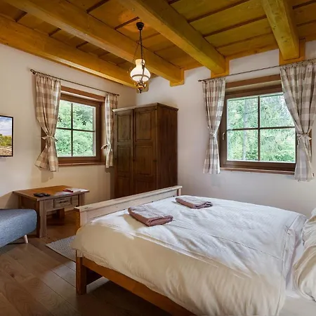 Wellness Drevenica Tale - Chopok Jasna South - Pool Table Horna Lehota