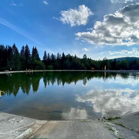 Wellness Drevenica Tale S Biliardom * Horná Lehota