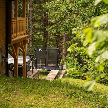 Wellness Drevenica Tale - Chopok Jasna South - Pool Table Chalet Horná Lehota