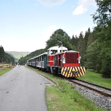 Chalet Wellness Drevenica Tale - Chopok Jasna South - Pool Table