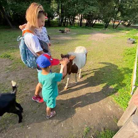 Wellness Drevenica Tale - Chopok Jasna South - Pool Table Chalet Horná Lehota