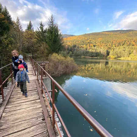 Wellness Drevenica Tale S Biliardom * Horná Lehota