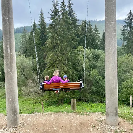 Alpehytte Wellness Drevenica Tale S Biliardom