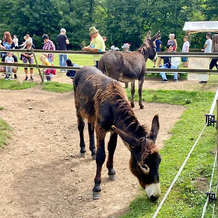 Wellness Drevenica Tale - Chopok Jasna South - Pool Table *