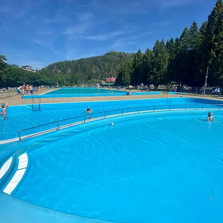 Wellness Drevenica Tale S Biliardom Horná Lehota
