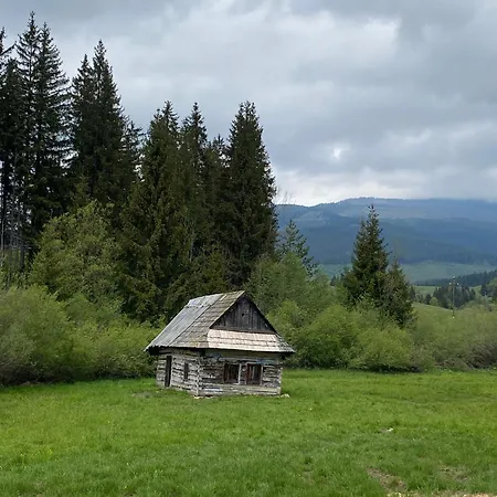 Wellness Drevenica Tale - Chopok Jasna South - Pool Table