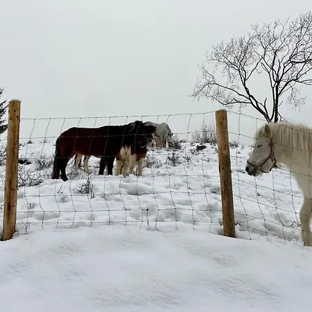 Wellness Drevenica Tale - Chopok Jasna South - Pool Table