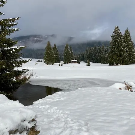 Chalet Wellness Drevenica Tale - Chopok Jasna South - Pool Table