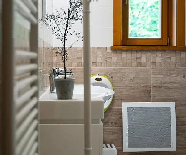 Wellness Drevenica Tale S Biliardom *