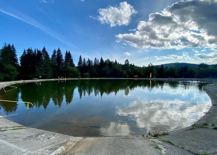 Wellness Drevenica Tale S Biliardom * Horná Lehota