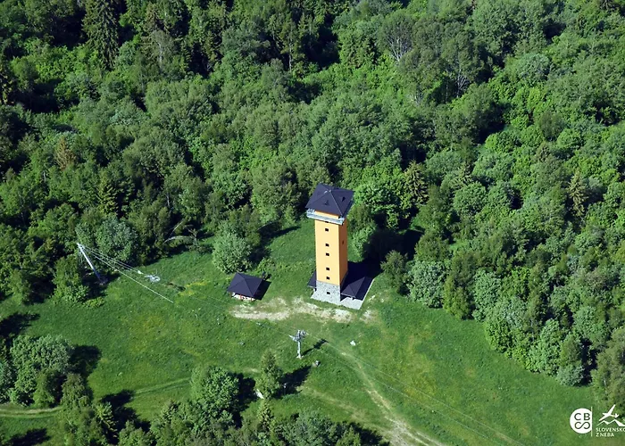 Wellness Drevenica Tale S Biliardom Chalet